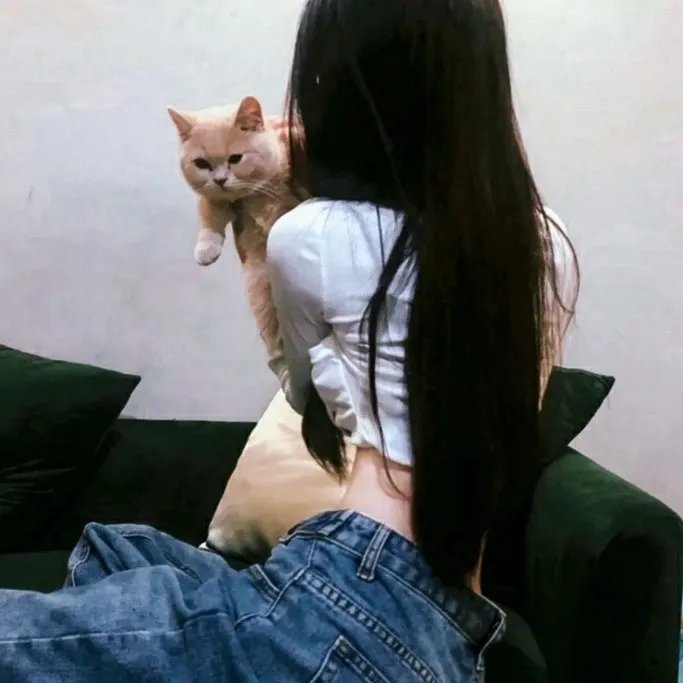 浪漫爱婚头